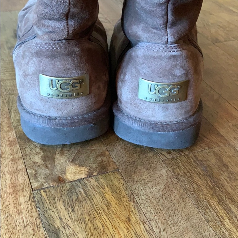 Tall Zippered UGG Espresso